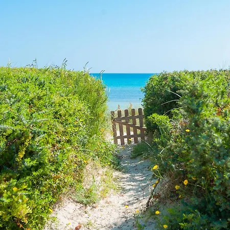 Sa Platja Hébergement de vacances Playa de Muro (Mallorca)